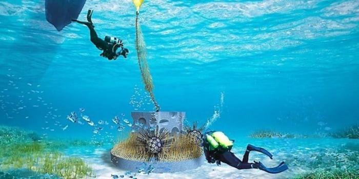 Cap To Sea Eureka A 200 M Centre Naturiste آجد المظهر الخارجي الصورة